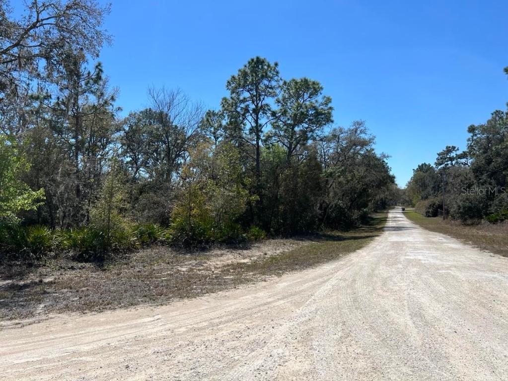 Northwest Ave. #Lot 32, Webster, FL 33597
