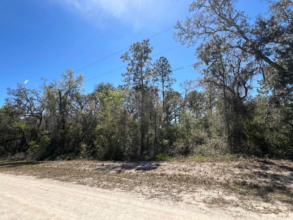Northwest Ave. #Lot 32, Webster, FL 33597