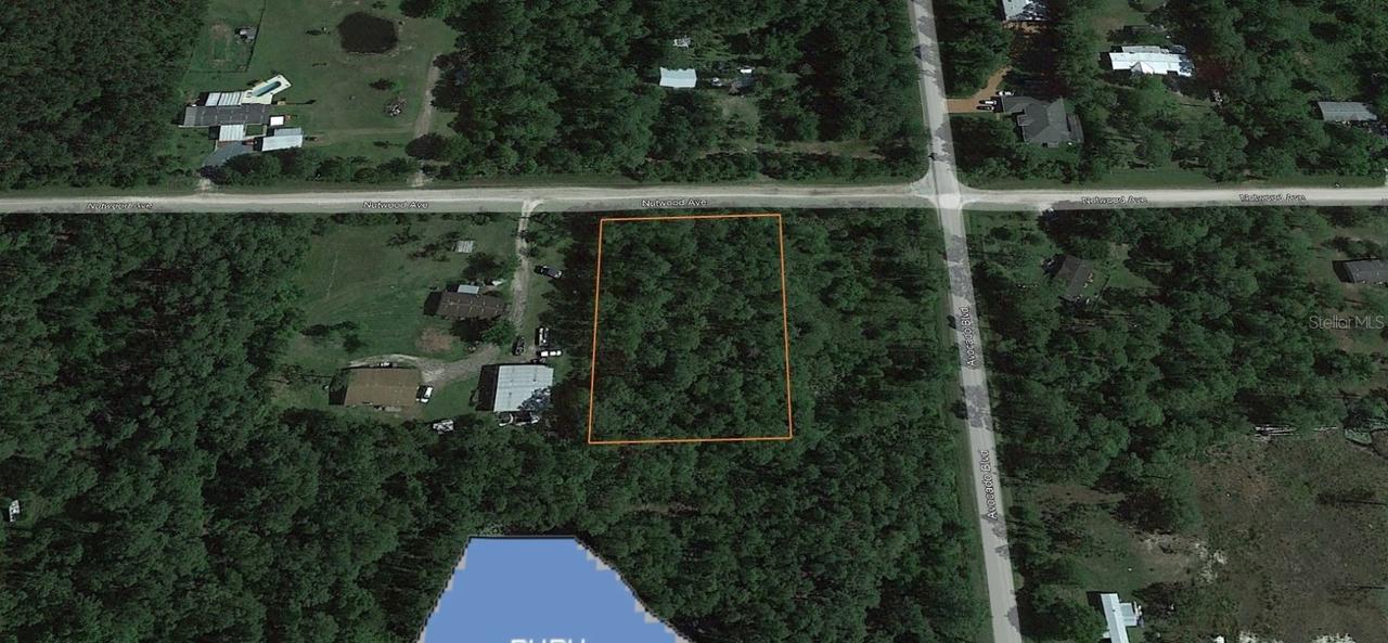 6017 Nutwood Ave., Bunnell, FL 32110