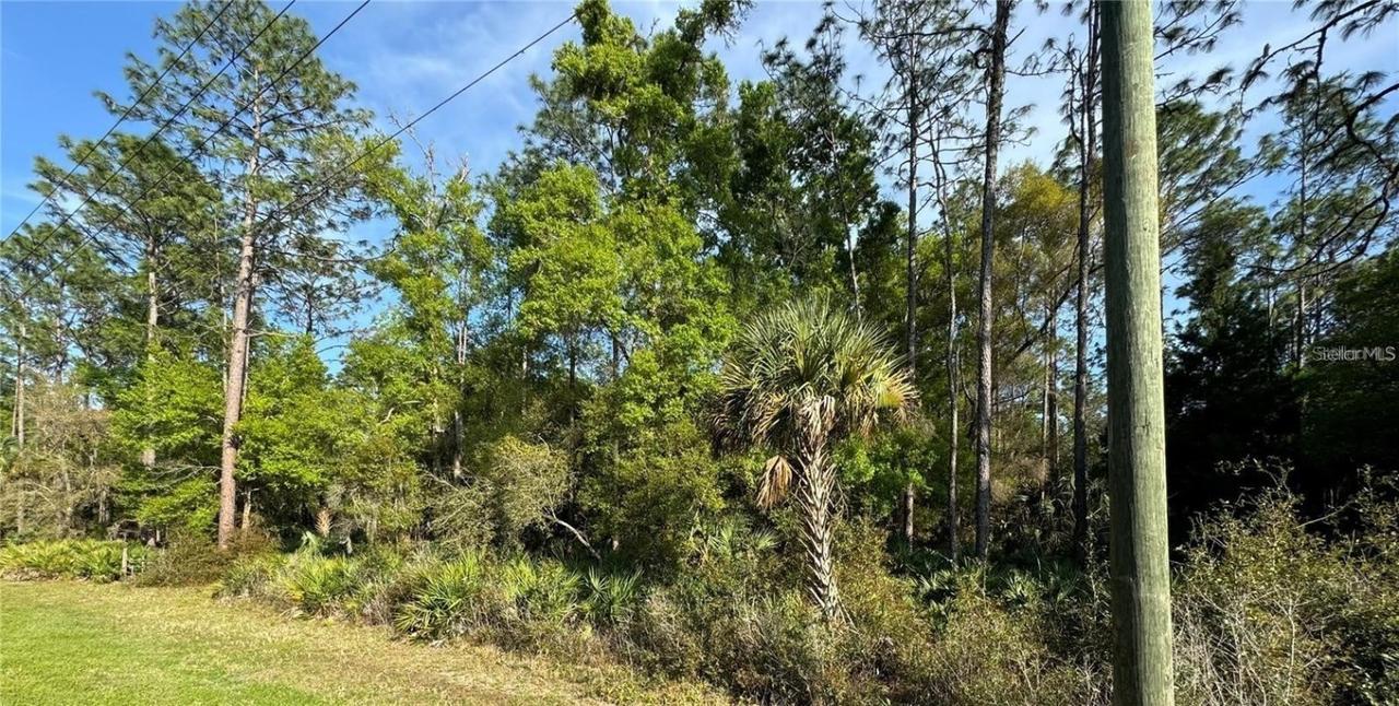 10082 W Dunellon Rd., Crystal River, FL 34428