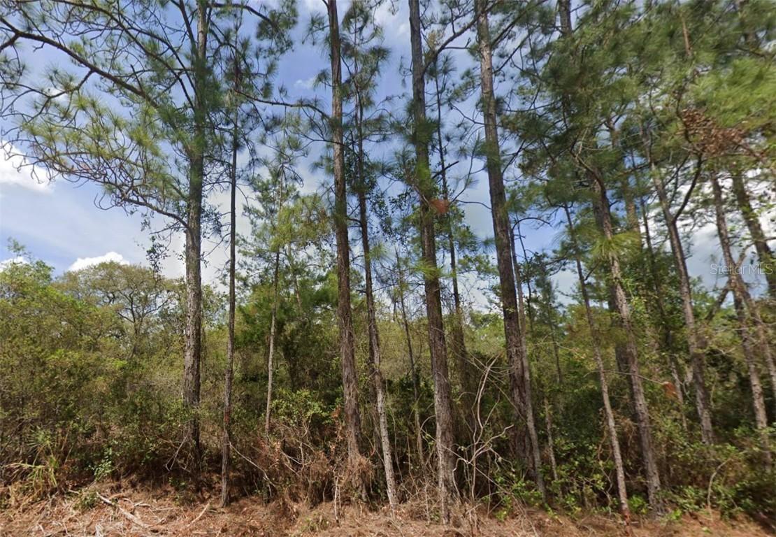 159 Shorewood St., Georgetown, FL 32139