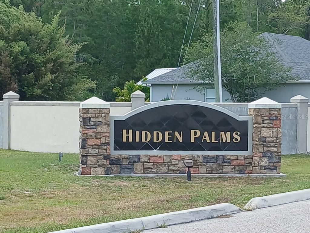 704 Hidden Palms Dr., Davenport, FL 33897