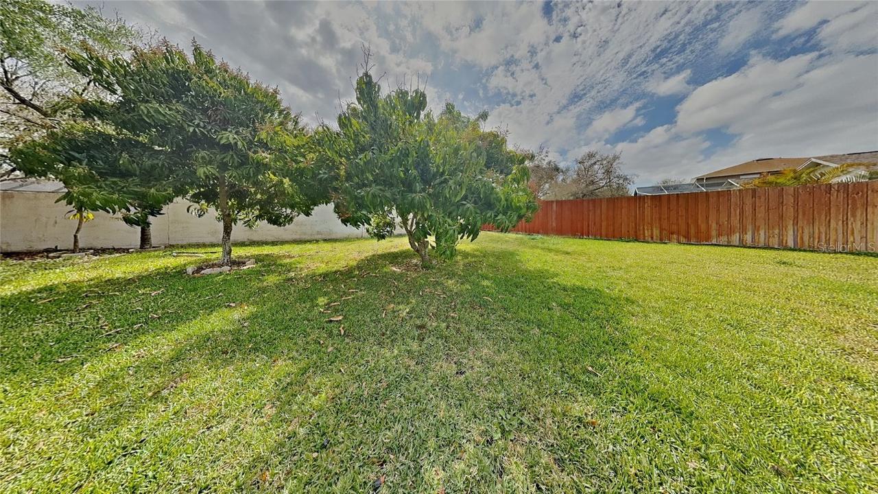 11319 Clayridge Dr., Tampa, FL 33635