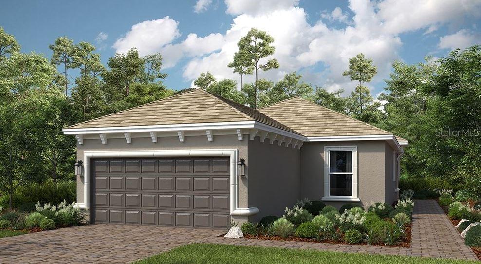 29548 Zupetta Ln., Wesley Chapel, FL 33543