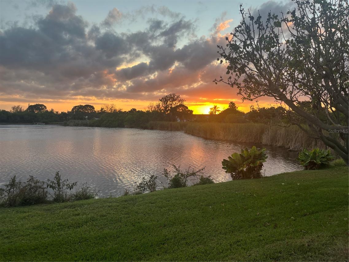 540 Somerhill Dr., St Petersburg, FL 33716