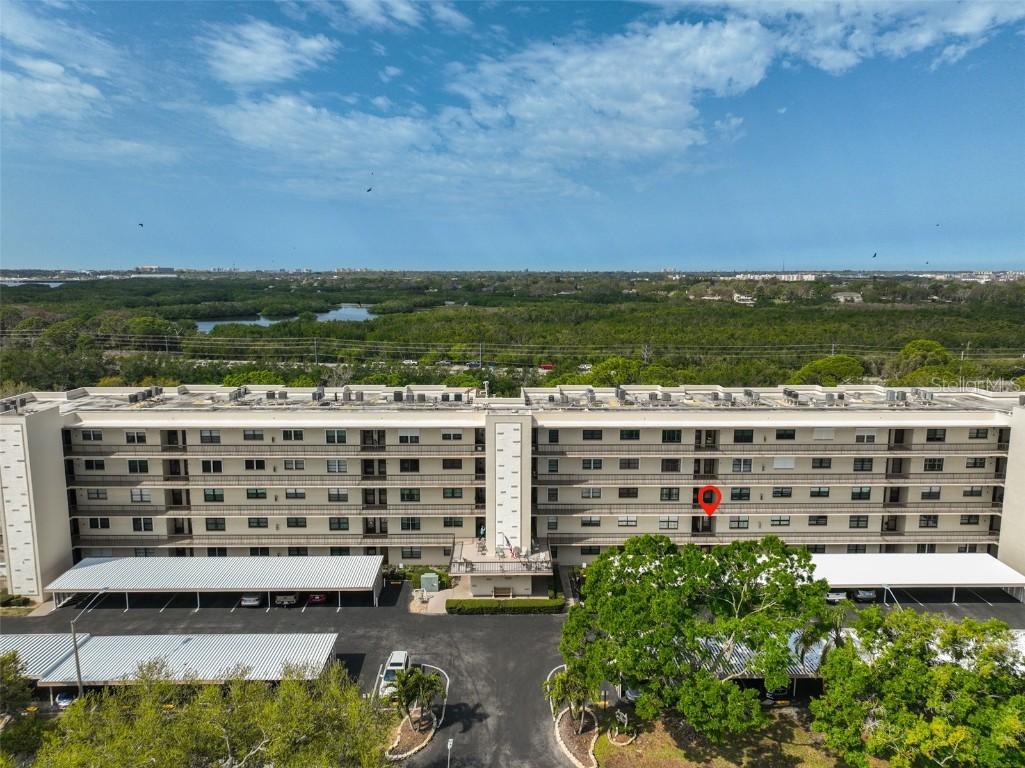 8198 Terrace Garden Dr. #208, St Petersburg, FL 33709