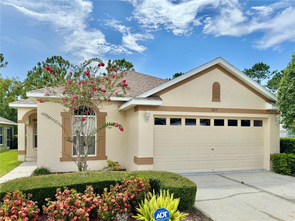 3215 Banyan Hill Ln., Land O Lakes, FL 34639