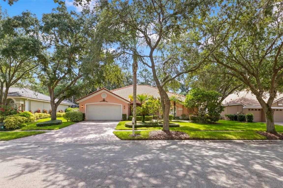 17803 Hickory Moss Pl., Tampa, FL 33647
