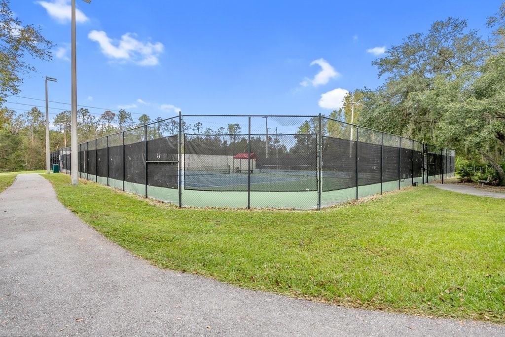 16843 Harrierridge Pl., Lithia, FL 33547