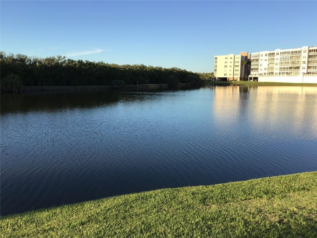 9860 62nd Ter. #1036, St Petersburg, FL 33708