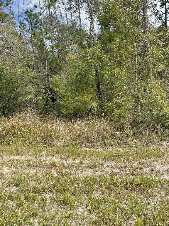 Cedarwood Ave., Brooksville, FL 34614