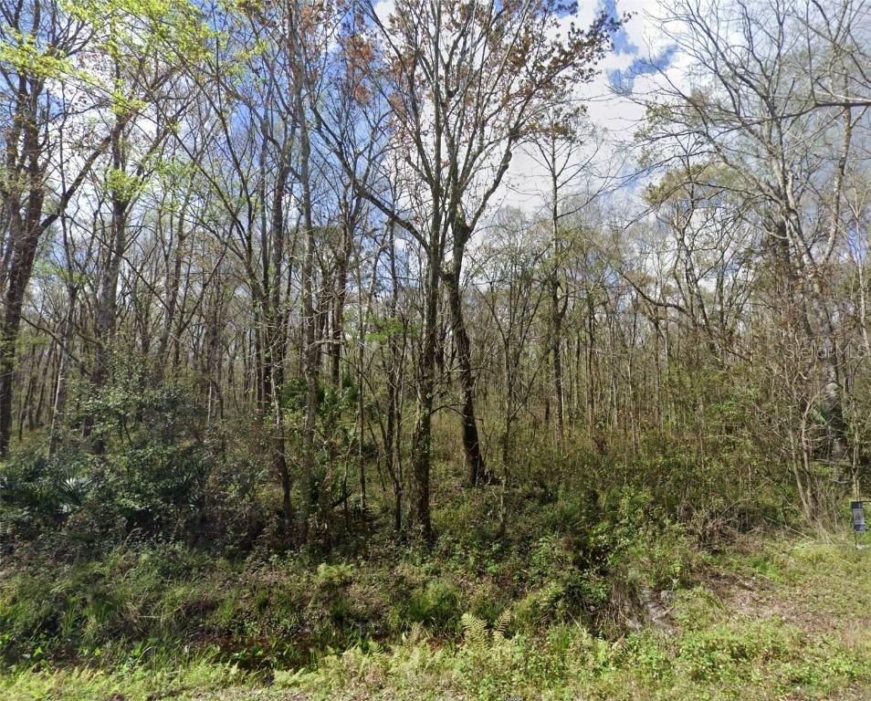 10665 Underwood Ave., Hastings, FL 32145