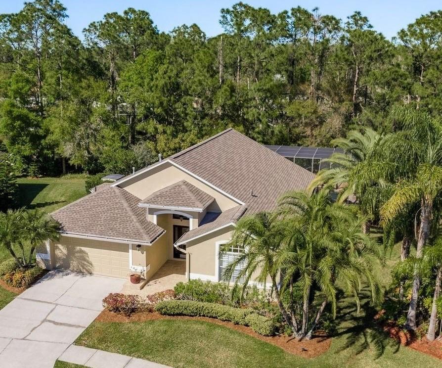 14709 Coral Berry Dr., Tampa, FL 33626