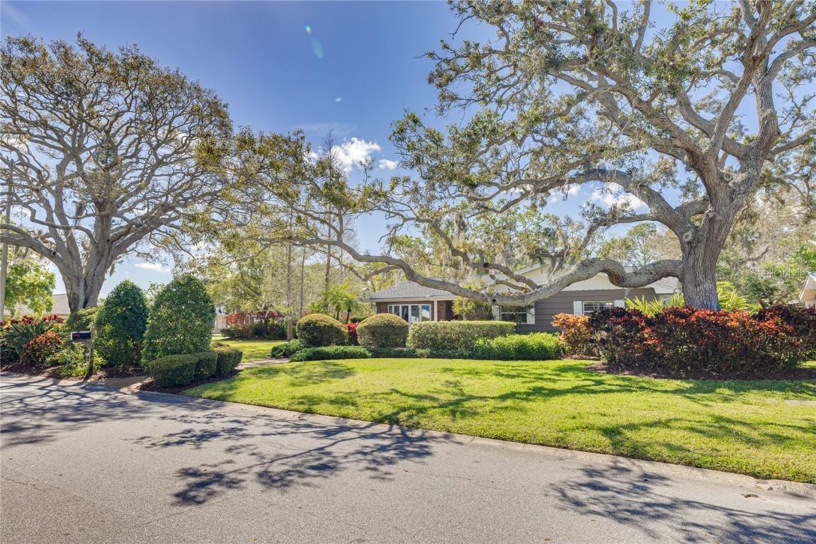 3187 San Mateo St., Clearwater, FL 33759