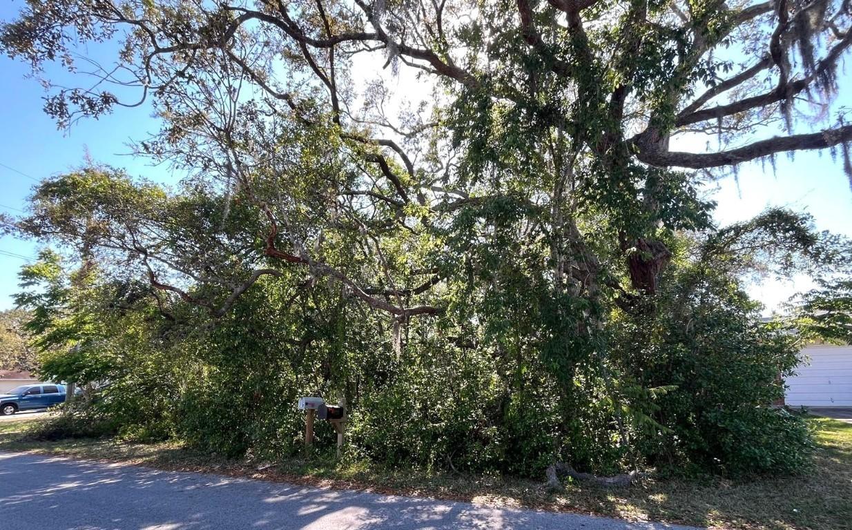 Markham Ave., Spring Hill, FL 34606