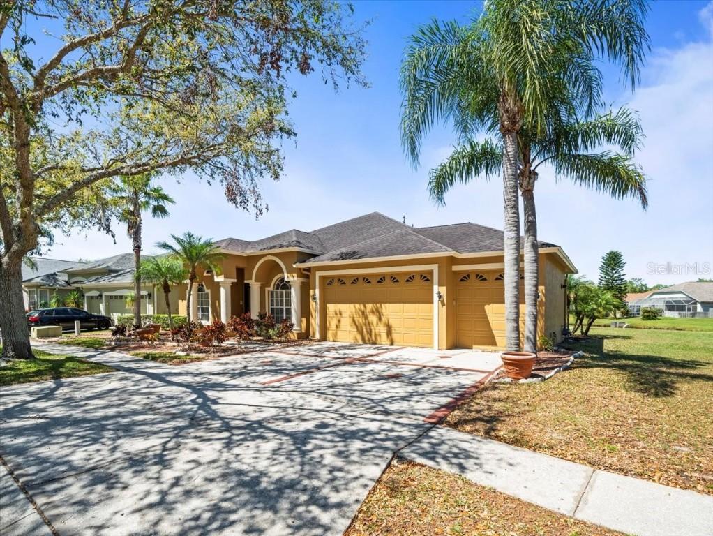 19230 Wind Dancer St., Lutz, FL 33558