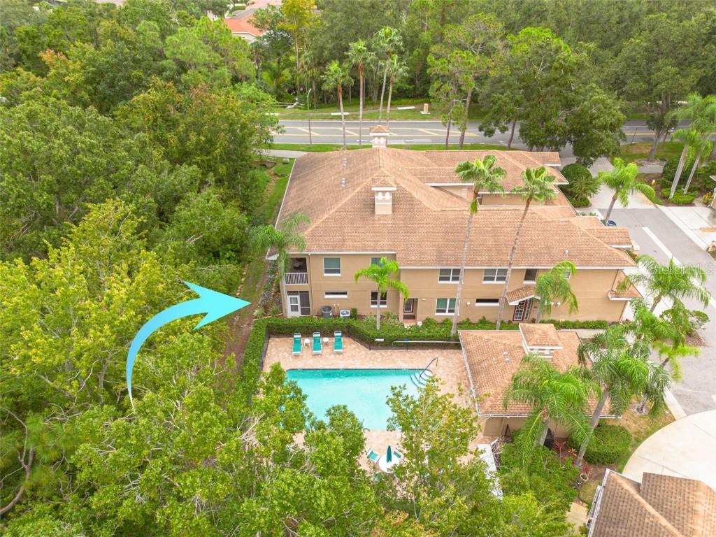 4206 Preserve Pl., Palm Harbor, FL 34685