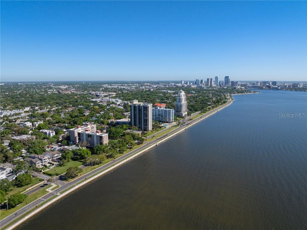 2403 S Ardson Pl. #902B, Tampa, FL 33629