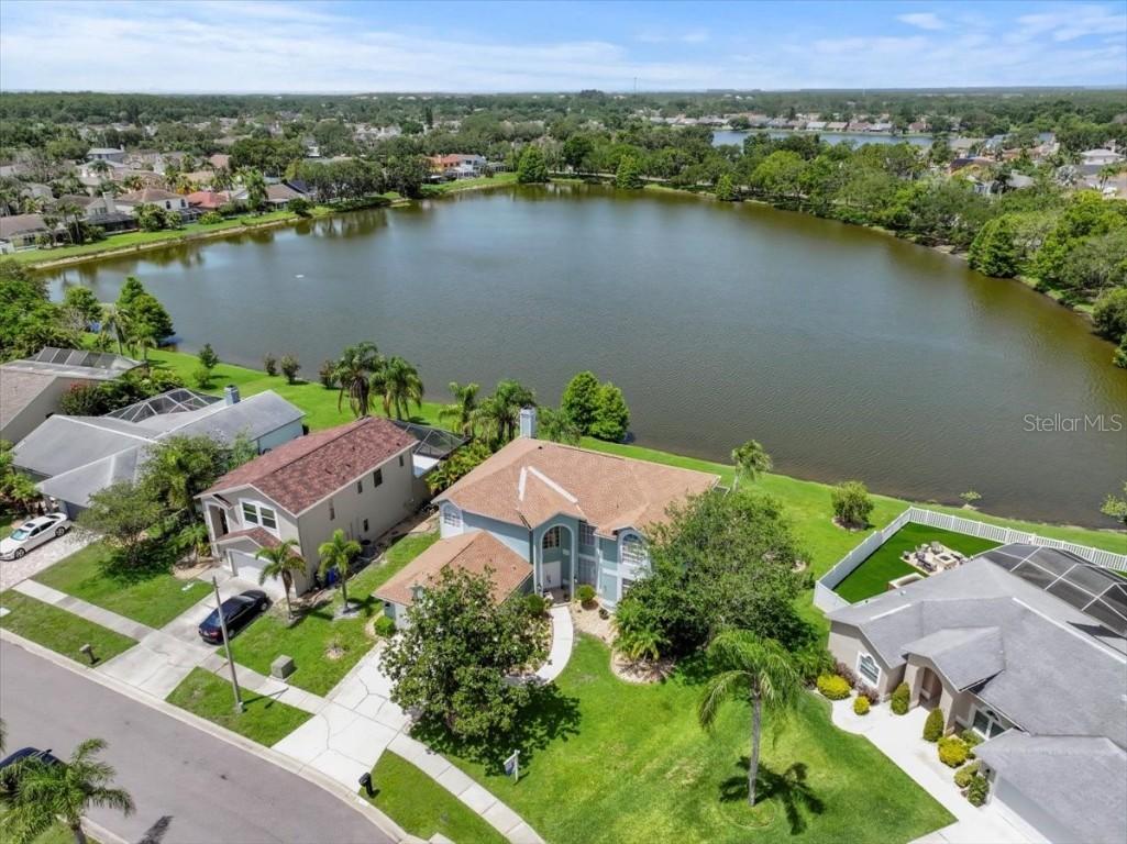 11519 Glenmont Dr., Tampa, FL 33635