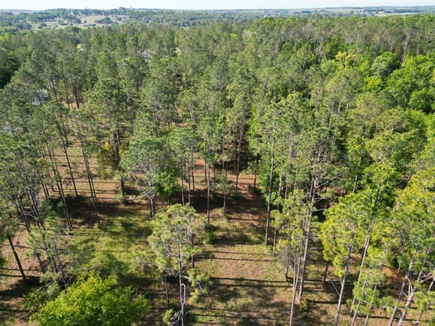 17321 Country Squire Ln., Dade City, FL 33523
