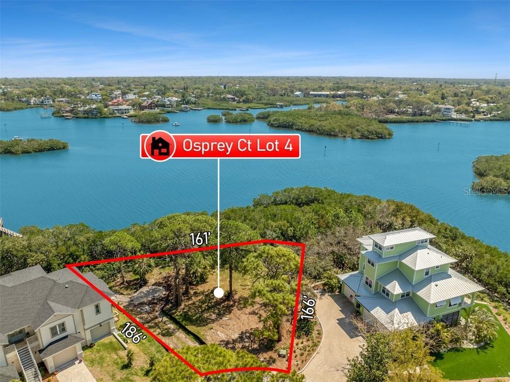 Osprey Ct., Palm Harbor, FL 34683