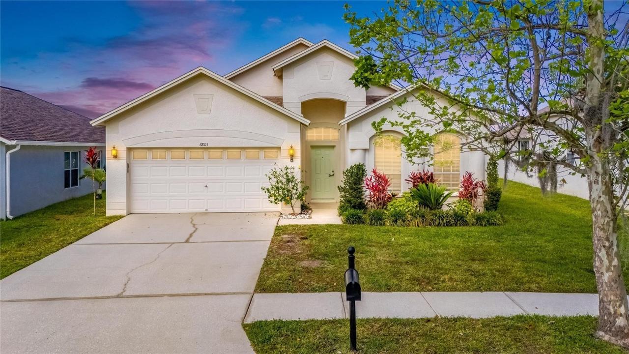 6803 Runner Oak Dr., Wesley Chapel, FL 33545