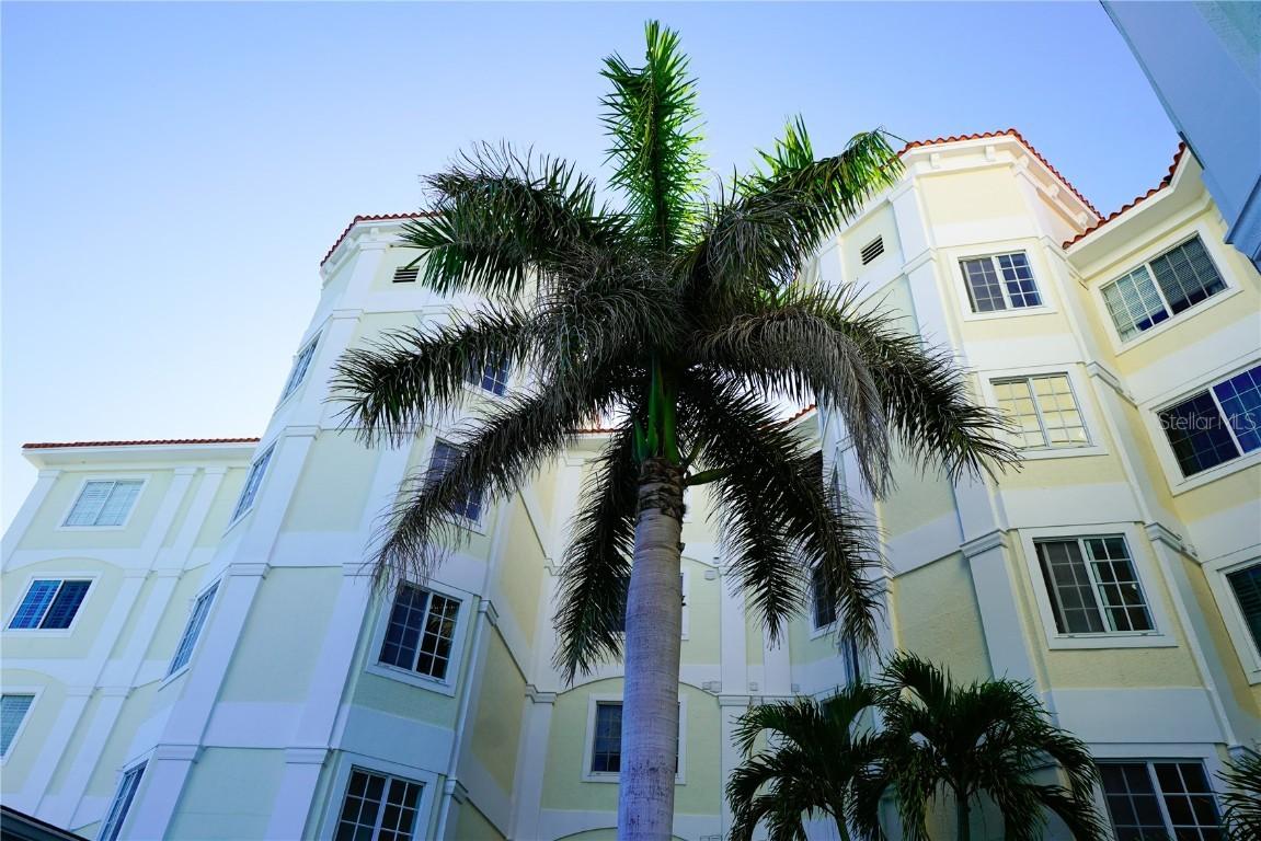 1860 N Fort Harrison Ave. #301, Clearwater, FL 33755