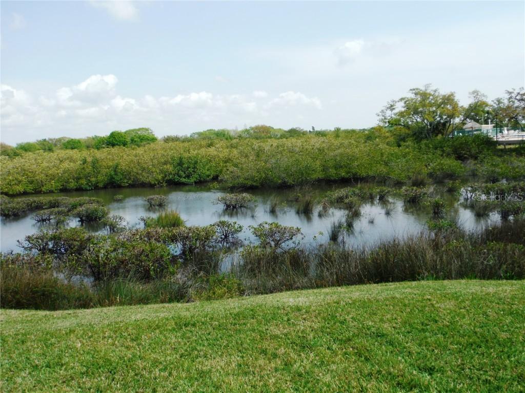161 Clubview Dr. #123, Safety Harbor, FL 34695