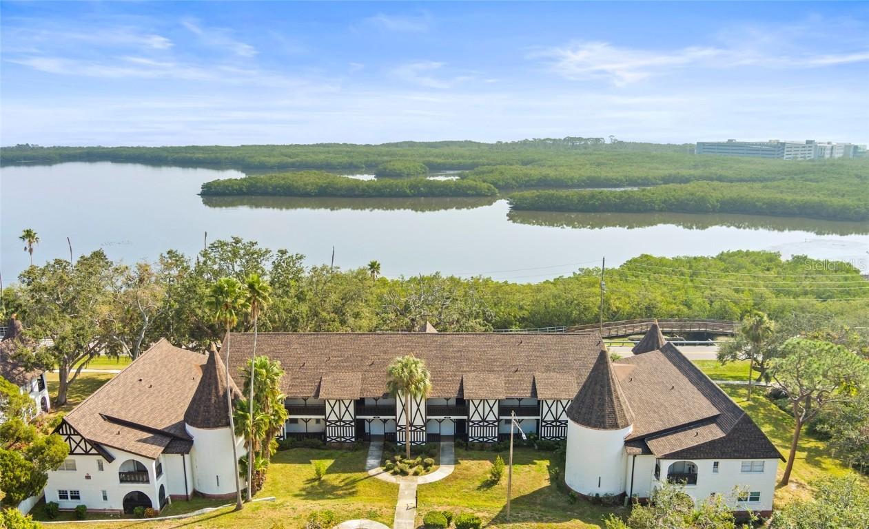 210 N Bayshore Blvd. #202, Clearwater, FL 33759