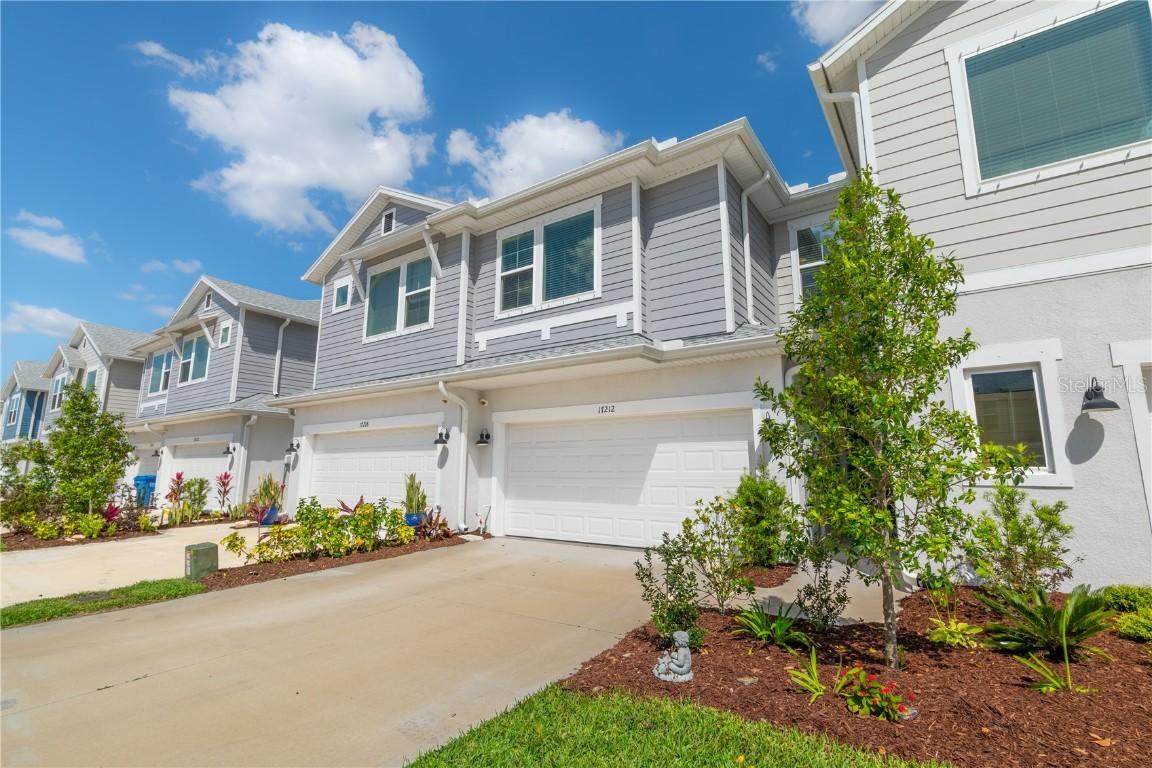 17212 Balance Cove, Land O Lakes, FL 34638