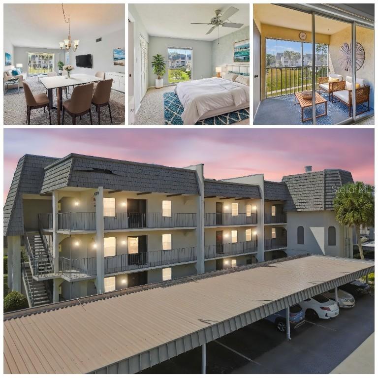 8703 Bardmoor Blvd #203, Seminole, FL 33777