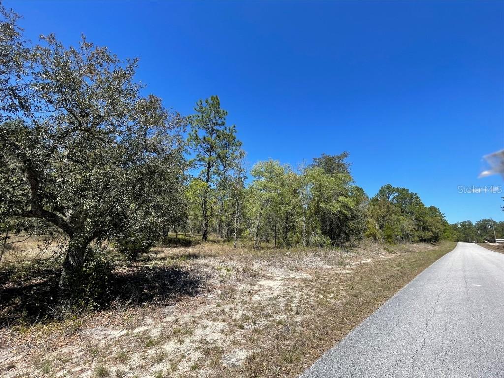 SW Fig Tree Ln., Dunnellon, FL 34431