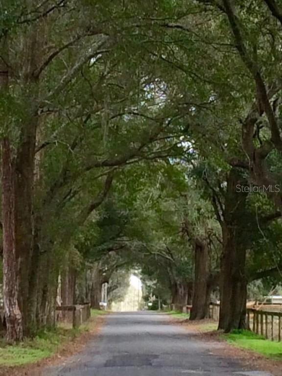 [Address Hidden by Seller], Summerfield, FL 34491