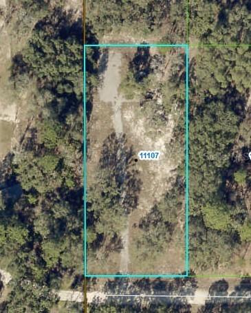 11103 Snow Lark Ave., Weeki Wachee, FL 34614