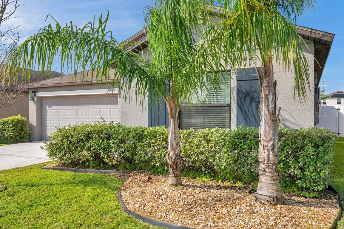 4201 Globe Thistle Dr., Tampa, FL 33619