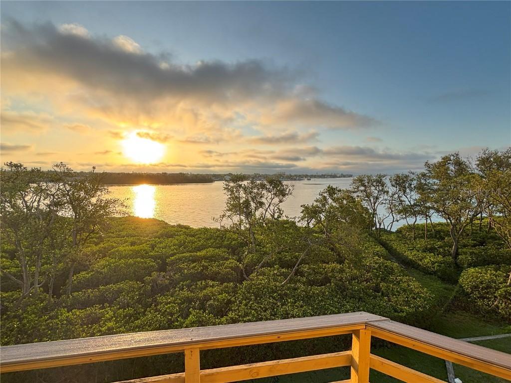 1720 Lighthouse Ter. #8, South Pasadena, FL 33707