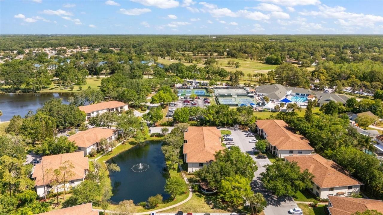 3380 Crystal Court #G, Palm Harbor, FL 34685