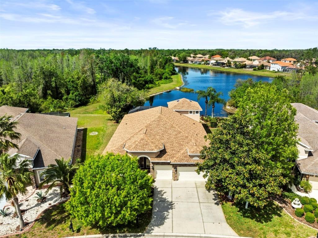 11534 Biddeford Pl., New Port Richey, FL 34654