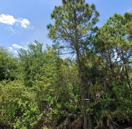 New Homes For Sale This Week in Gulf Cove: March 28th to April 3rd