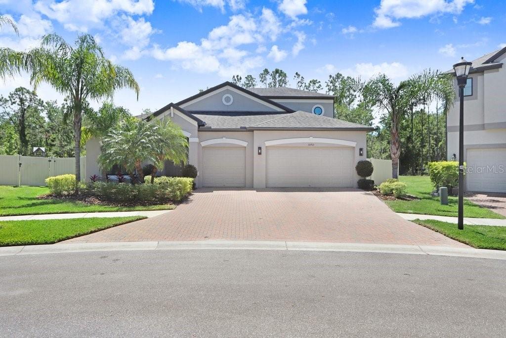 10703 Morning Dew Way, Tampa, FL 33647