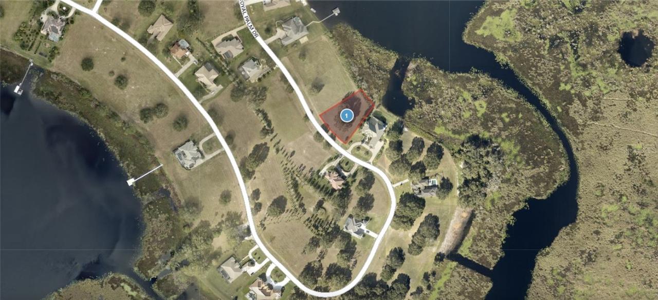Lot 39 Royal Palm Dr., Groveland, FL 34736