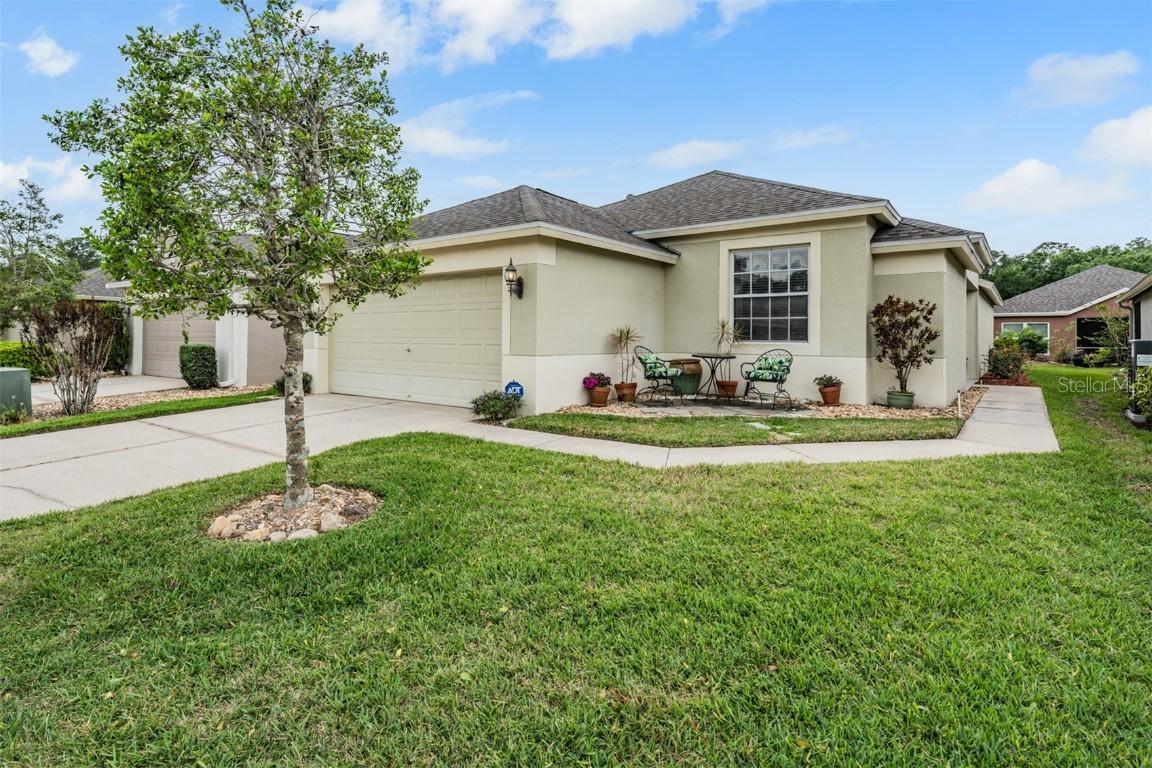 5116 Gato Del Sol Cir., Wesley Chapel, FL 33544