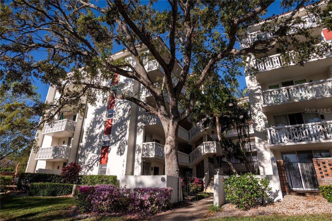 2630 Pearce Dr. #104, Clearwater, FL 33764