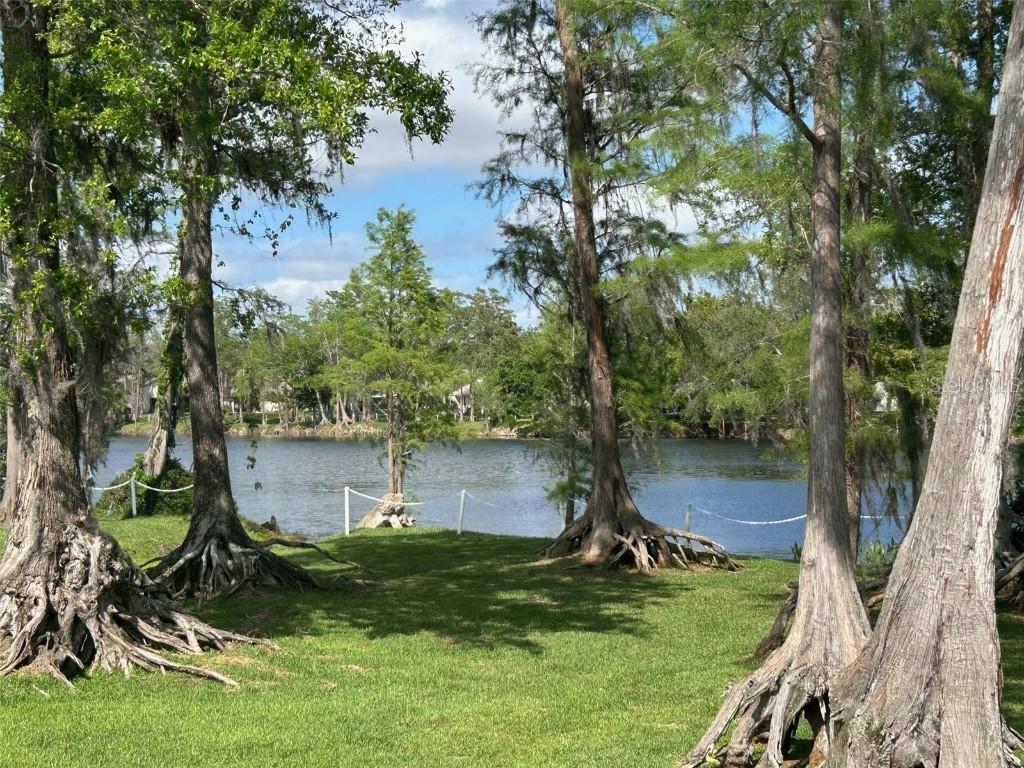 2513 Oakleaf Ln. #26C, Clearwater, FL 33763
