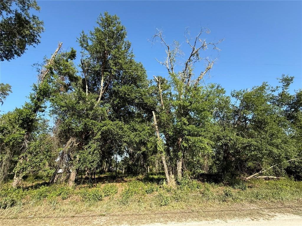 null Owens Dr., Zephyrhills, FL 33540