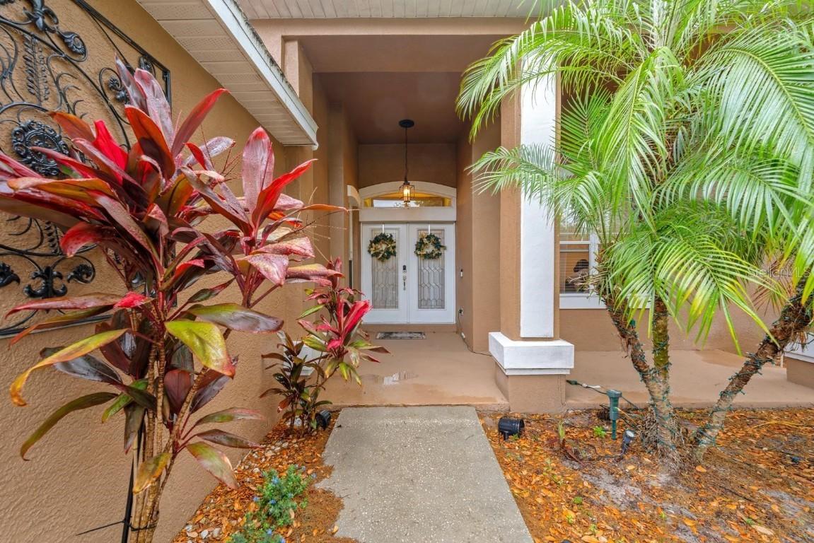 2539 Centennial Falcon Dr., Valrico, FL 33596