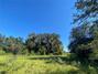 New Homes For Sale This Week in Floral City: April 4th to April 10th