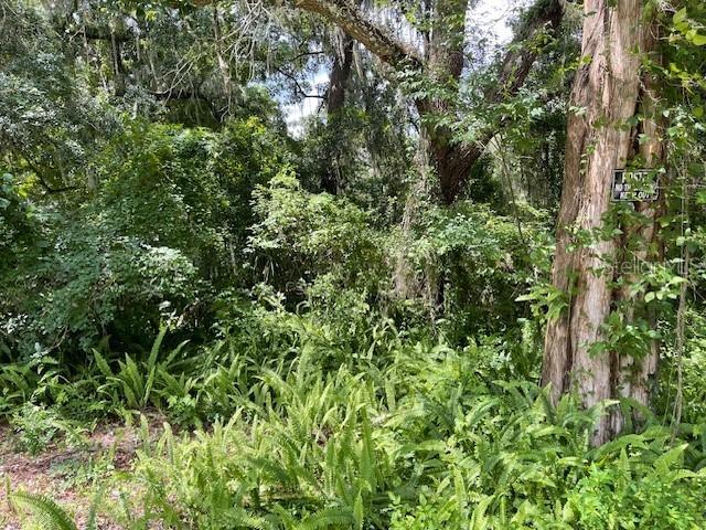 22361 Panorama St., Brooksville, FL 34601