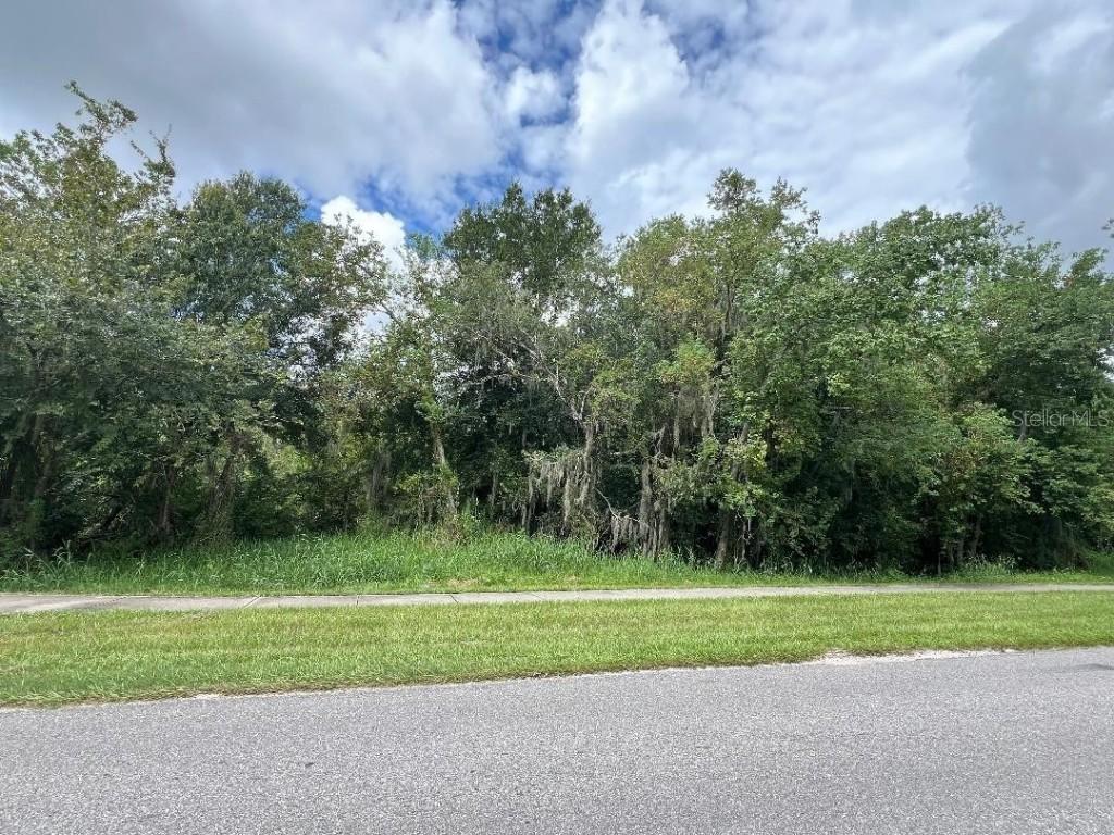 1007 Waller St., Plant City, FL 33563