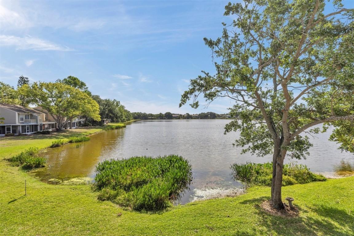 8719 Lake Place Ln. #1, Tampa, FL 33634